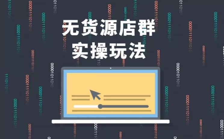 无货源店群实操玩法,蓝海选品的独特思路,店群软件操作方法(45节视频课)-第一资源库