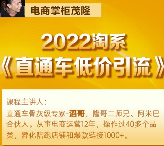 茂隆2022直通车低价引流玩法,教大家如何低投入高回报的直通车玩法-第一资源库