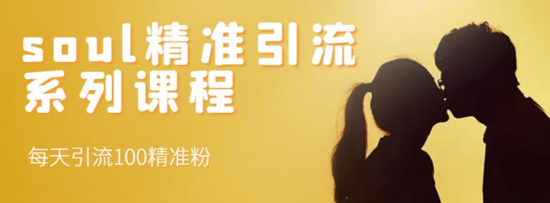 soul精准引流系列课程,每天引流100精准粉-第一资源库