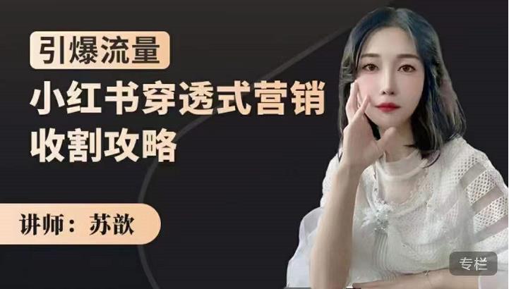 苏歆:小红书穿透式营销收割攻略,引爆流量,助你玩转小红书-第一资源库