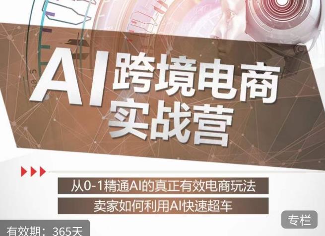 白龙老师·AI跨境电商实战营:从0-1精通Al的真正有效电商玩法,卖家如何利用Al快速超车-第一资源库