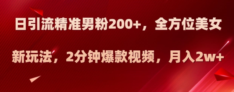 日引流精准男粉200+,全方位美女新玩法,2分钟爆款视频,月入2w+【揭秘】-第一资源库