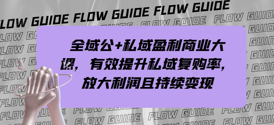 全域公+私域盈利商业大课,有效提升私域复购率,放大利润且持续变现-第一资源库