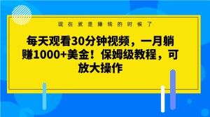 每天观看30分钟视频,一月躺赚1000+美金!保姆级教程,可放大操作【揭秘】-第一资源库