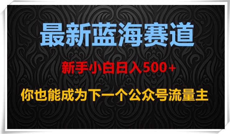 最新蓝海赛道,新手小白日入500+,你也能成为下一个公众号流量主【揭秘】-第一资源库