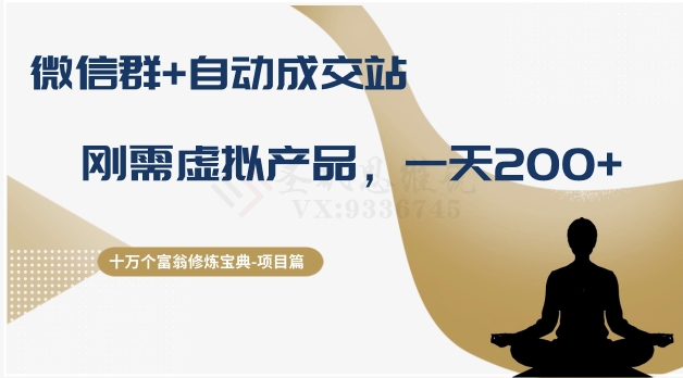 十万个富翁修炼宝典之8.微信群+自动成交站,刚需虚拟产品,一天200+-第一资源库