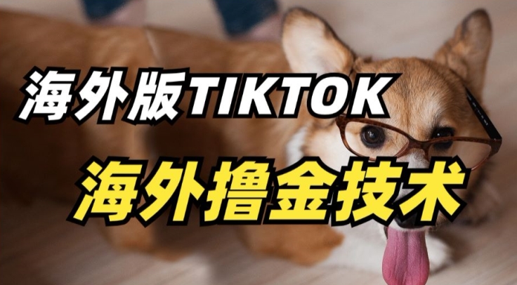 抖音海外版tiktok撸金技术,这个风口行业,赚钱真的不难【揭秘】-第一资源库