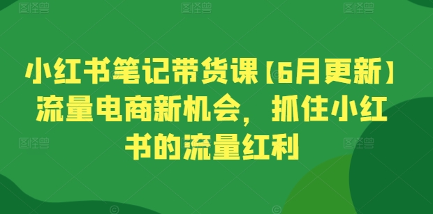 小红书笔记带货课【6月更新】流量电商新机会,抓住小红书的流量红利-第一资源库