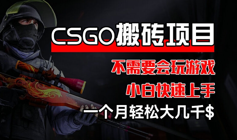 CSGO 装备搬砖项目,操作简单,不需要会玩游戏,小白也能快速上手,一个月轻松大几千【揭秘】-第一资源库