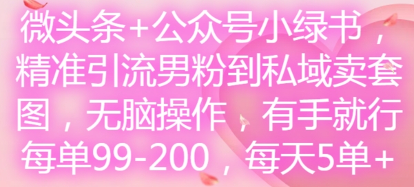 微头条+公众号小绿书,精准引流男粉到私域卖套图,无脑操作,有手就行,每单99-200,每天5单-第一资源库