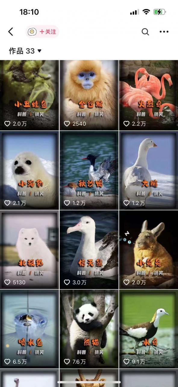 动物科普解说项目,撸创作者伙伴计划收益,保姆级实战教程-第一资源库