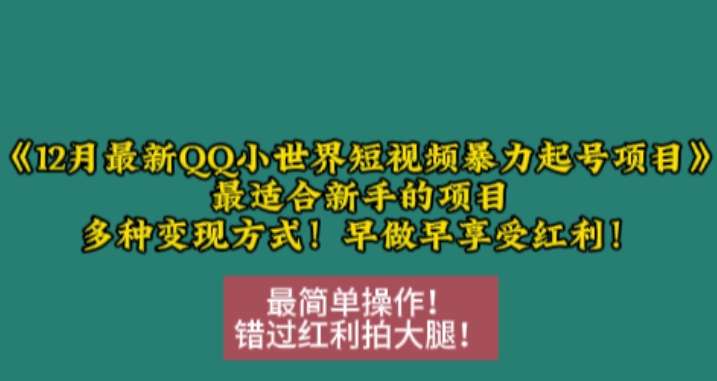 12月最新QQ小世界短视频暴力起号项目,最适合新手的项目,多种变现方式-第一资源库