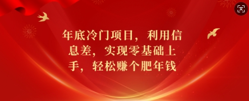 年底冷门项目,利用信息差,实现零基础上手,轻松赚个肥年钱【揭秘】-第一资源库