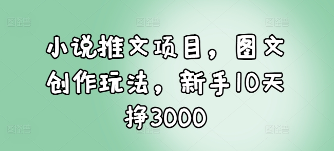 小说推文项目,图文创作玩法,新手10天挣3000-第一资源库
