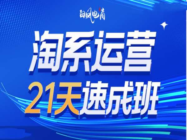 淘系运营21天速成班35期,年前最后一波和2025方向-第一资源库
