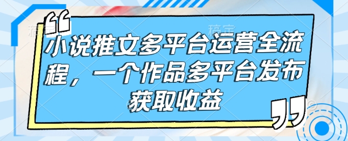 小说推文多平台运营全流程,一个作品多平台发布获取收益-第一资源库