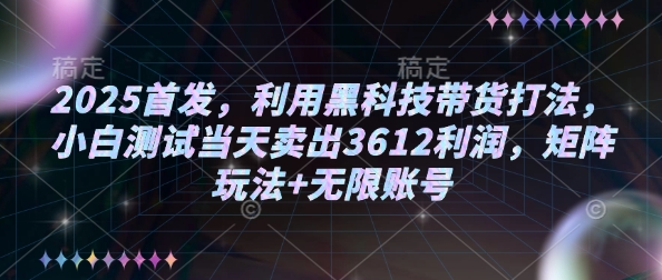 2025首发,利用黑科技带货打法,小白测试当天卖出3612利润,矩阵玩法+无限账号【揭秘】-第一资源库