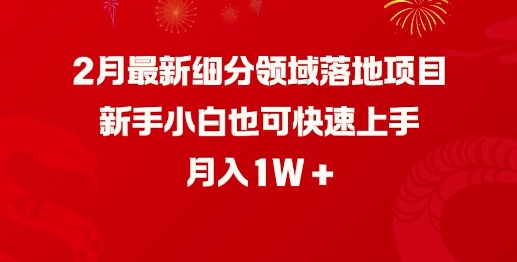 2月最新细分领域落地项目,新手小白也可快速上手,月入1W-第一资源库