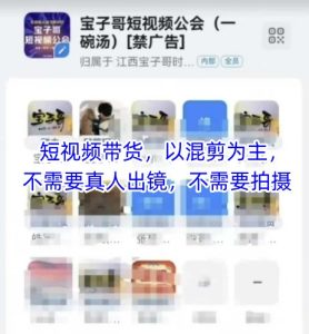 宝子哥头部团队短视频带货,以混剪为主,不需要真人出镜,不需要拍摄【更新12月】-第一资源库