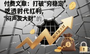付费文章：打破“穷稳定”，吃透时代红利，“闷声发大财”的终极真谛-第一资源库