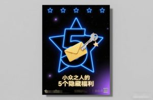 付费文章:小众之人的5个隐藏福利-第一资源库