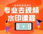 专业去视频水印教程 静态水印、动态水印、文字水印、图片水印一套教程通通搞定-第一资源库