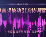 黄岛主·FM音频引流特训营2.0：独家引流模式，单账号50W+播放量，轻松变现-第一资源库