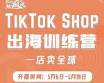 疯人院:TikTok Shop出海训练营(一店卖全球),出海抢占全球新流量-第一资源库