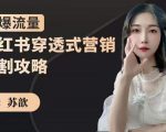 苏歆：小红书穿透式营销收割攻略，引爆流量，助你玩转小红书-第一资源库