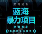 引流哥蓝海暴力躺赚项目:无需发圈无需引流无需售后,每单赚50-500(教程+线报群)-第一资源库