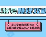 玩转微信视频号赚钱：小白变大咖涨粉百万实现快速变现1000万的现金流-第一资源库