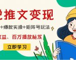 小说推文训练营:引流技巧+爆款实操+矩阵号玩法,百倍效益、百万播放秘笈-第一资源库