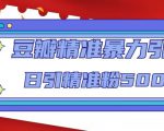 豆瓣精准暴力引流,日引精准粉500+【12课时】-第一资源库