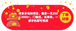 2023拼多多电商项目,稳定一天300~3000+,门槛低,出单快,一部手机即可完成-第一资源库