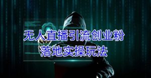 外面收费3980的无人直播引流创业粉落地实操玩法,单日引100+精准创业粉-第一资源库