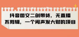 抖音图文二创带货,无直播,不剪辑,一个闷声发大财的项目【揭秘】-第一资源库