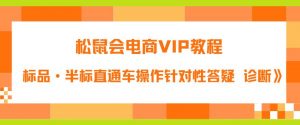 松鼠会电商VIP教程：松鼠《付费推广标品·半标直通车操作针对性答疑&诊断》-第一资源库