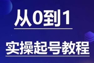 石野·小白起号实操教程,掌握各种起号的玩法技术,了解流量的核心-第一资源库