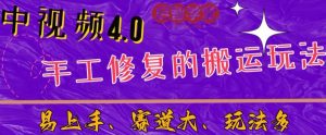 中视频4.0赛道:新手福音,一小时制作,三天过计划,7天看效果【揭秘】-第一资源库