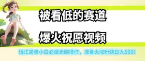 被看低的赛道爆火祝愿视频,玩法简单小白必做无脑操作,流量大涨粉快日入500-第一资源库