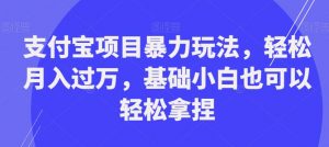 支付宝项目暴力玩法,轻松月入过万,基础小白也可以轻松拿捏【揭秘】-第一资源库