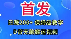 首发,抖音无脑搬运视频,日赚200+保姆级教学【揭秘】-第一资源库
