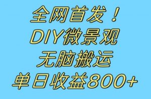 全网首发冷门赛道!DIY微景观,无脑搬运视频,日收益800+【揭秘】-第一资源库