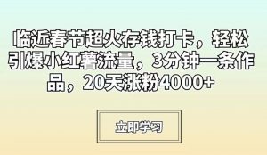 临近春节超火存钱打卡,轻松引爆小红薯流量,3分钟一条作品,20天涨粉4000+【揭秘】-第一资源库