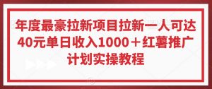 年度最豪拉新项目拉新一人可达40元单日收入1000+红薯推广计划实操教程【揭秘】-第一资源库