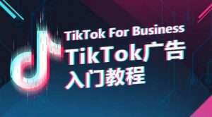 TikTok广告入门教程,从0到1掌握TikTok投放的全流程-第一资源库