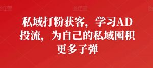 私域打粉获客,学习AD投流,为自己的私域囤积更多子弹-第一资源库