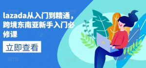 lazada从入门到精通,跨境东南亚新手入门必修课-第一资源库