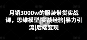 月销3000w的服装带货实战课，思维模型|实战经验|暴力引流|后端变现-第一资源库
