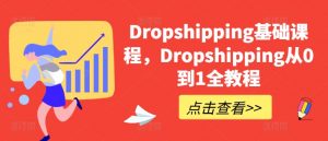 Dropshipping基础课程,Dropshipping从0到1全教程-第一资源库